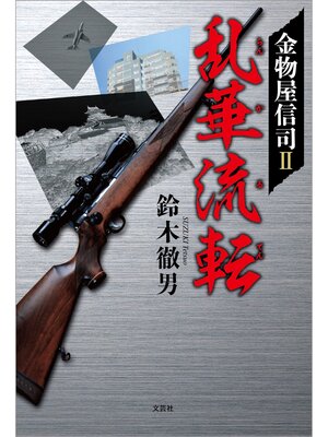 cover image of 金物屋信司 Ⅱ 乱華流転